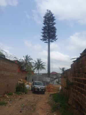 Bionic Pine drevesa antenski stolp