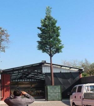 Kamuflaža Telekom Pine Tree Tower