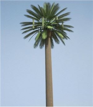 Camouflaged Pine Tree Cell Tower